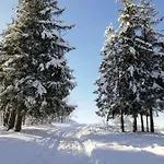 Antalowka Z Ogrodkiem Apartmán Zakopane