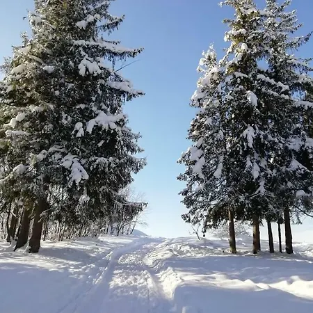 Antalowka Z Ogrodkiem Lägenhet Zakopane